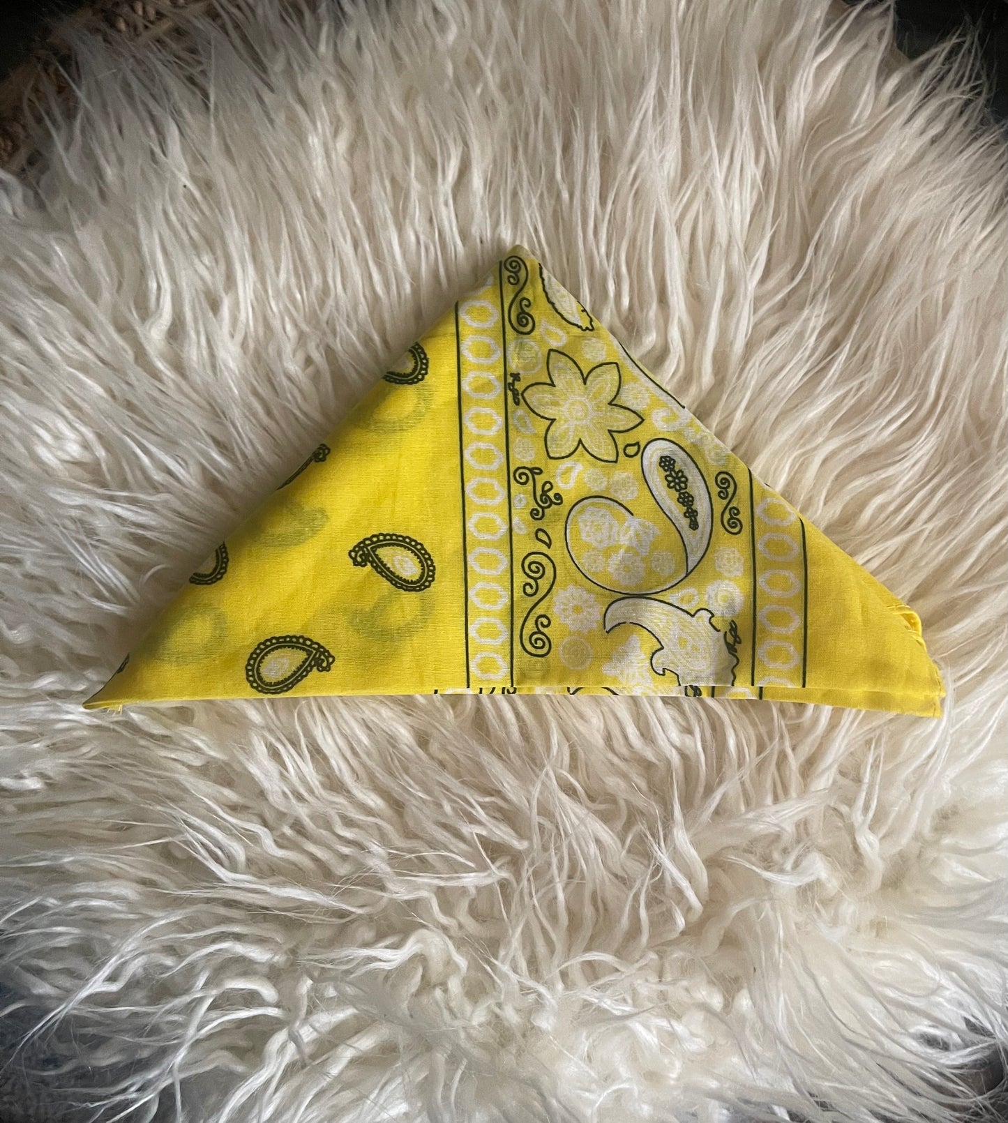 Paisley Bandanas