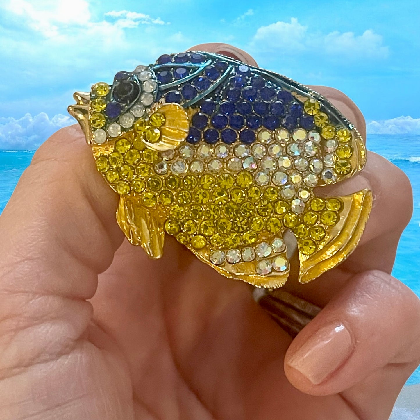 Fish Rhinestone Pin