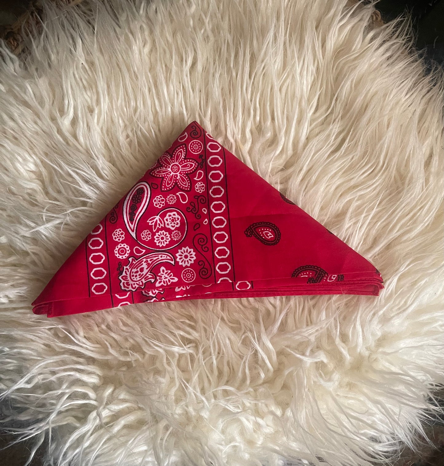 Paisley Bandanas