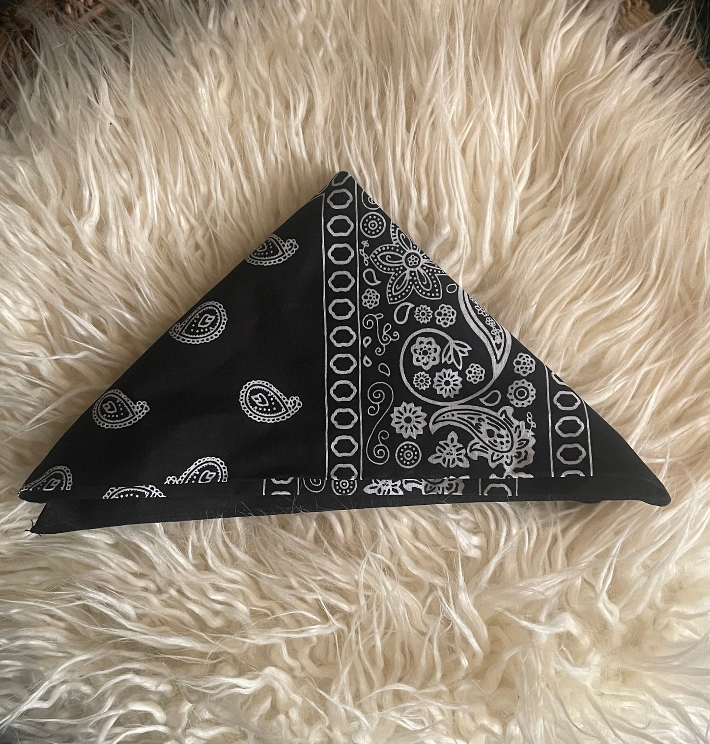 Paisley Bandana